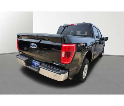 2023 Ford F-150 4D is a Black 2023 Ford F-150 Car for Sale in Harvard IL