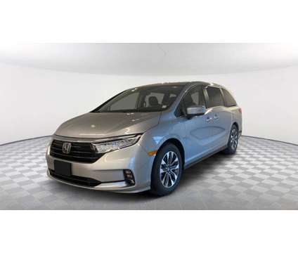 2024 Honda Odyssey EX-L is a Silver 2024 Honda Odyssey EX Car for Sale in Saratoga Springs NY