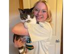 Experienced and Reliable Pet Sitter in West Richland, WA - Affordable Daily