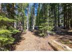 Plot For Sale In Soda Springs, California