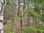 Plot For Sale In Northfield, Maine