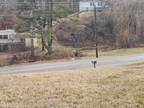 Christiansburg, Montgomery County, VA Undeveloped Land, Homesites for sale