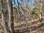 HAPPY HOLLOW LN - LOT 71, Sevierville, TN 37876 For Rent MLS# 254780
