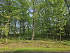 Plot For Sale In East Union Township, Pennsylvania
