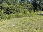 Fountain, Bay County, FL Undeveloped Land, Homesites for rent Property ID: