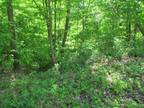 Plot For Sale In Coloma, Michigan