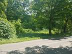 Plot For Sale In Haslett, Michigan