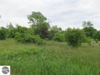 Plot For Sale In Cadillac, Michigan