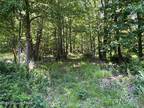 Plot For Sale In Swiftwater, Pennsylvania