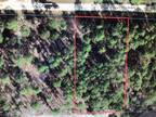 Plot For Sale In Dunnellon, Florida