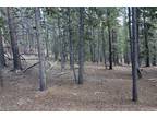 Plot For Sale In Idaho Springs, Colorado