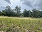 Plot For Sale In Dunnellon, Florida