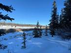 Lot for sale in Chilcotin, Williams Lake, Williams Lake, Dl 281 Stack Valley