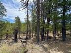 Plot For Sale In Ruidoso, New Mexico