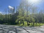 Plot For Sale In Petersburgh, New York