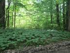 Plot For Sale In Coloma, Michigan