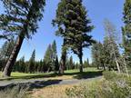 Plot For Sale In Truckee, California