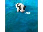 JaLo