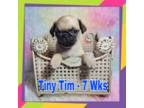 Tiny Tim