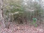 Plot For Sale In Flat Rock, North Carolina