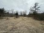 Plot For Sale In Bath, Michigan