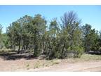 Plot For Sale In Edgewood, New Mexico