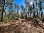 Plot For Sale In Leesville, South Carolina