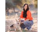 Experienced and Reliable Pet Sitter in Tucson, AZ - $15 Daily