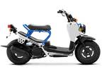 2023 Honda Ruckus