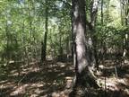 Plot For Sale In Hattiesburg, Mississippi