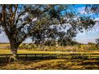 1075 Sledge Ct, Chappell Hill, TX 77833