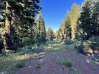 N. California Land for Rent, 0.92 acres, Nice Trees