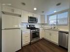 Large 2 Bedroom 2 bath Condo 403 W 7th St #304