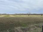 Lot 8 CR 4230, Pittsburg, TX 75686