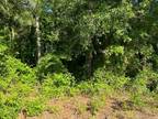 Manning, Vacant Wooded Lot - Rural Setting - DHEC permit has