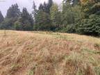 Plot For Sale In Ridgefield, Washington