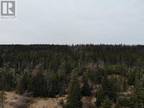 76 - 84 Conception Bay Highway, Holyrood, NL, A0A 2R0 - vacant land for sale