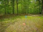 Plot For Sale In Shelby, Michigan