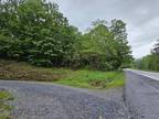 Plot For Sale In Flag Pond, Tennessee