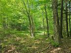 Plot For Sale In Croghan, New York