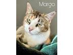 Adopt Margo, Willow Grove PA (FCID 04/23/2024-131) a Calico