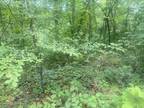 Plot For Sale In Celina, Tennessee