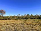 Plot For Sale In Anahuac, Texas