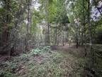 Plot For Sale In Tallahassee, Florida