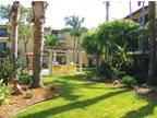 The Pacific At Mission Bay - 2636 Grand Ave - San Diego, CA Apartments for Rent