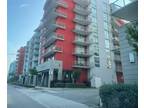 Flat For Rent In Doral, Florida