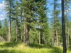 Plot For Sale In Kalispell, Montana