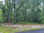 Fanning Springs, Levy County, FL Homesites for sale Property ID: 413224381