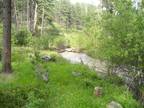 Plot For Sale In Wolf Creek, Montana