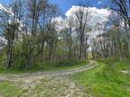 Plot For Sale In Franklinville, New York